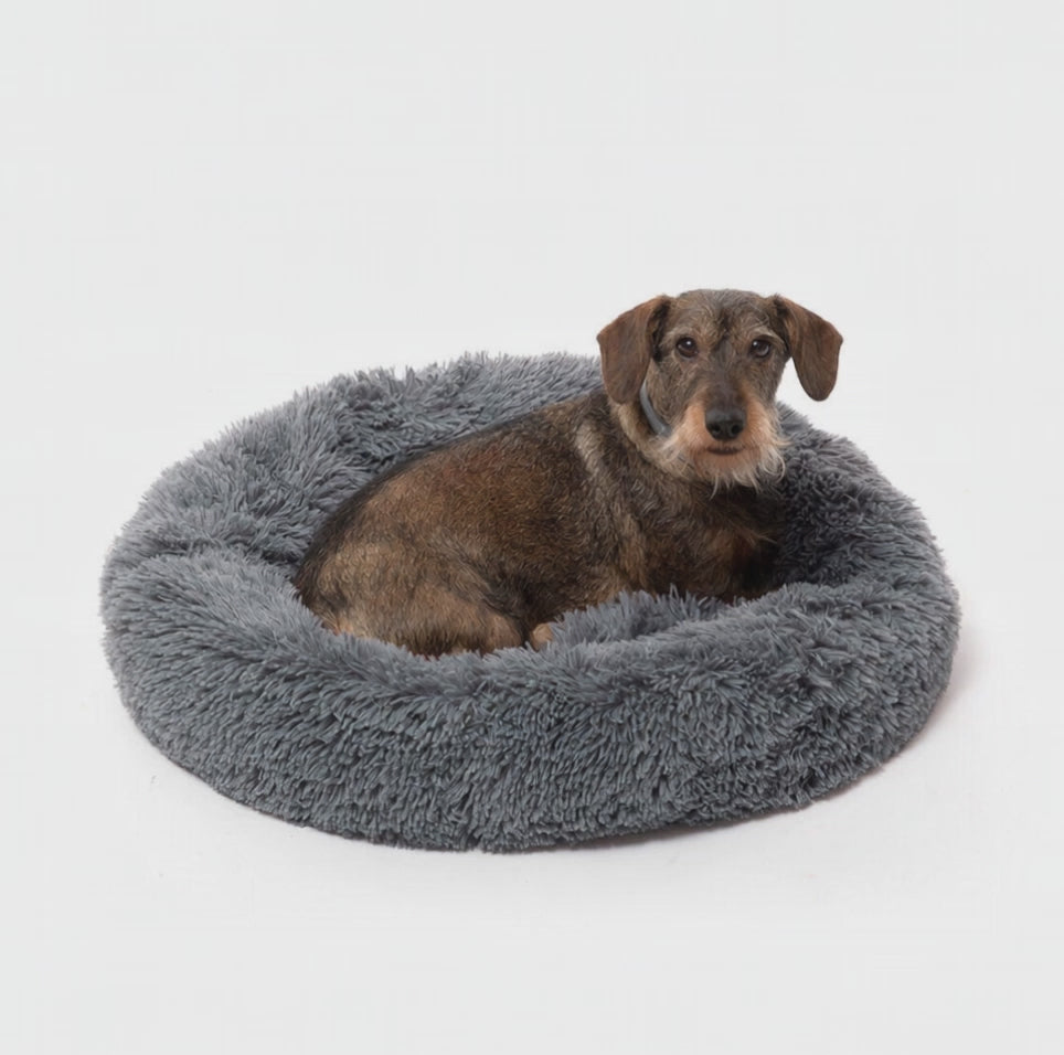 Cama Anti-Stress para Cães — Conforto e Segurança para o Teu Melhor Amigo