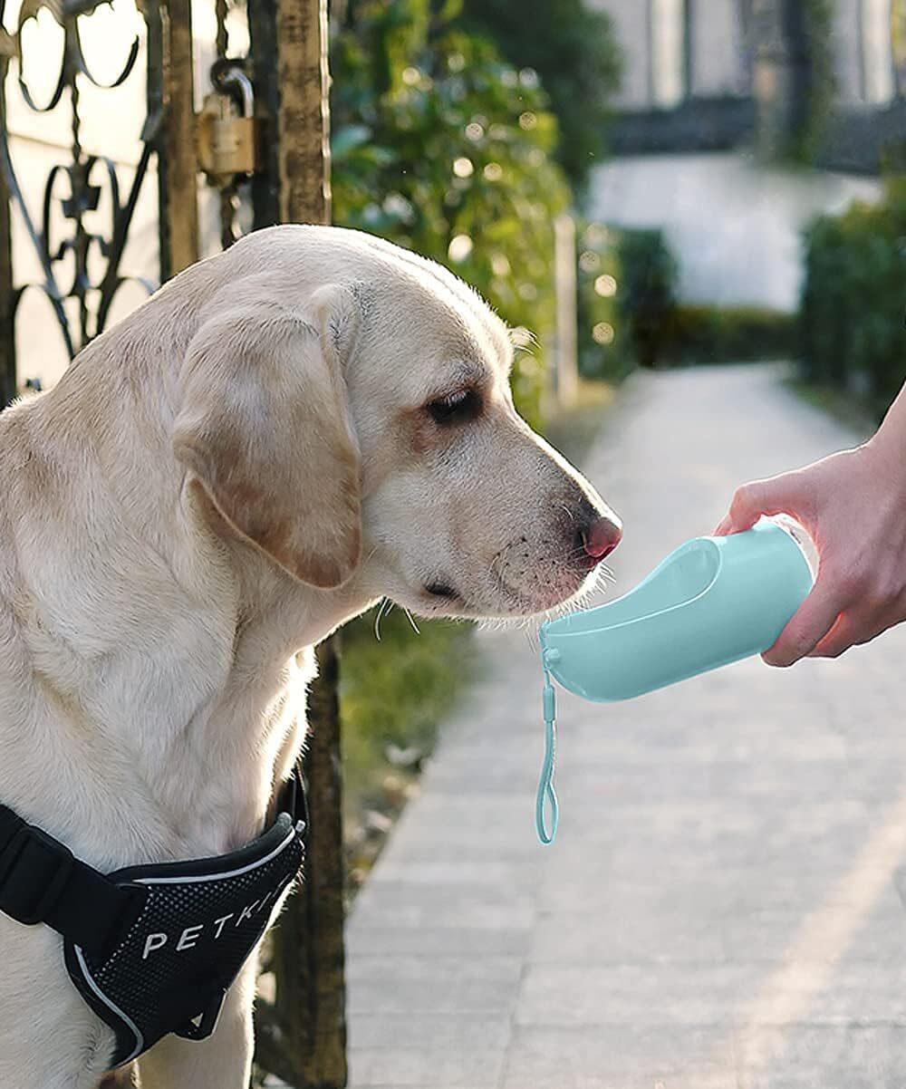 Fonte de água para animais de estimação